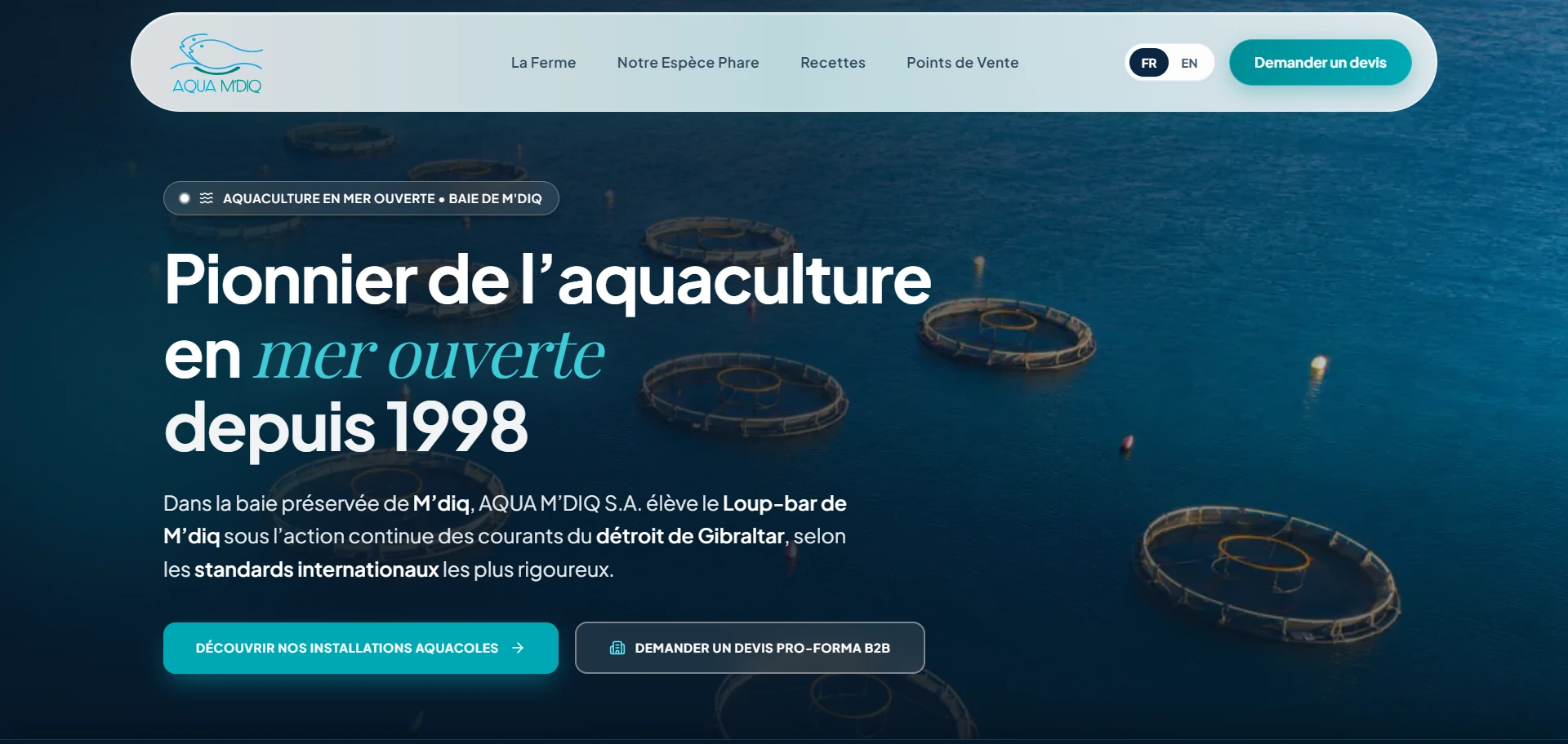 Aperçu du site AQUA M'DIQ S.A.